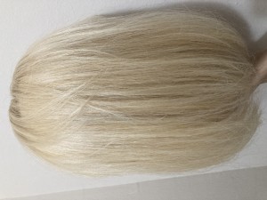 IMG-6511