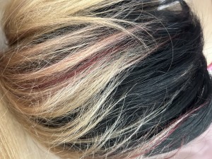 IMG_4967
